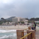 Son Moll