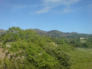 Blick vom Bus