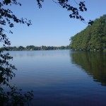 Natur