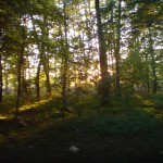 Idylle