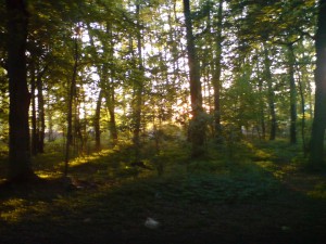 Idylle