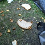Brotschlacht